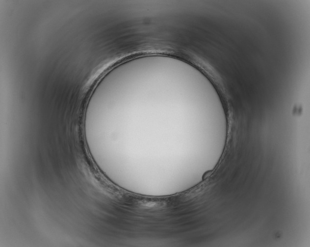 X0000112510155200908171056