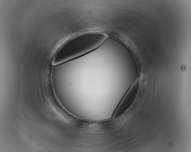 X0000112510156200908171056