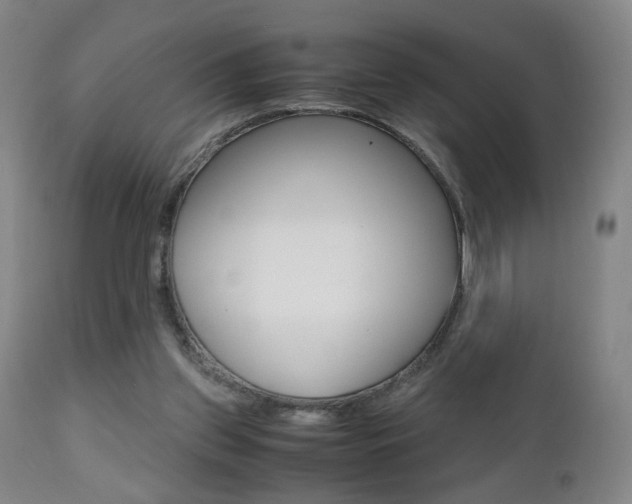 X0000112510157200908171056