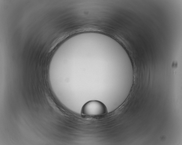 X0000112510158200908171056