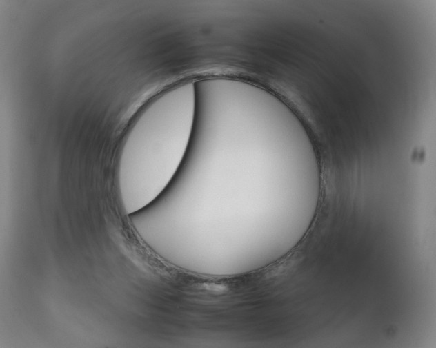 X0000112510159200908171056