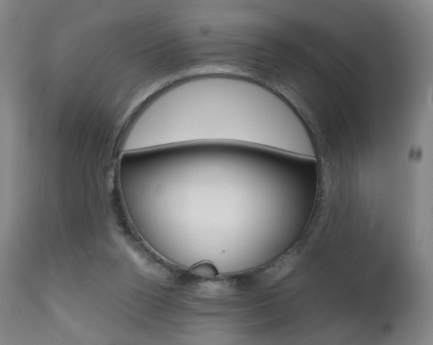 X0000112510160200908171056