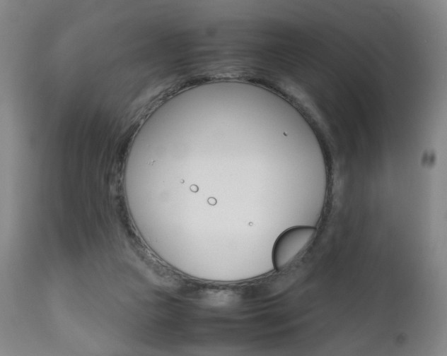 X0000112510161200908171056