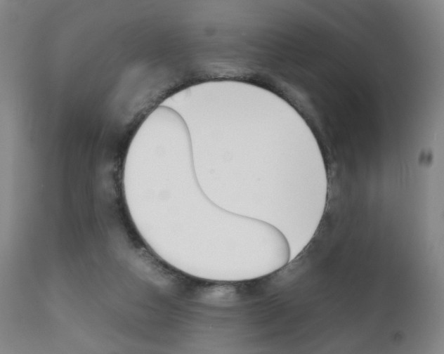 X0000112510162200908171056