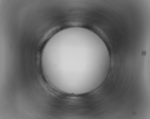 X0000112510163200908171056