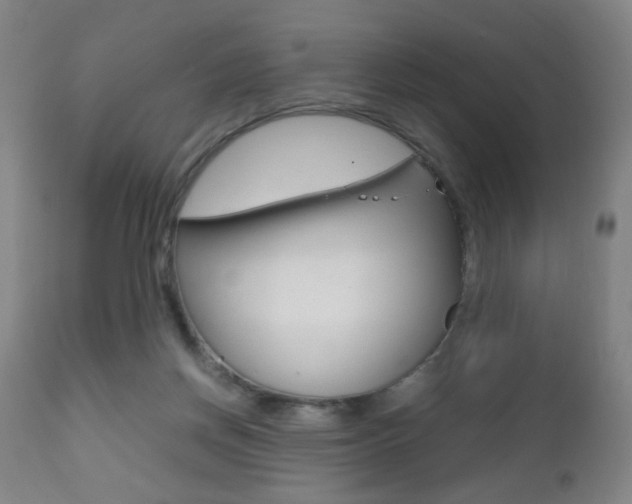 X0000112510166200908171056