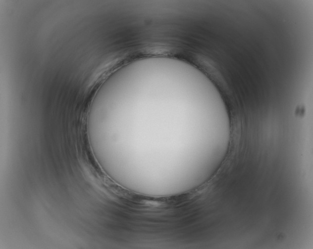 X0000112510167200908171056