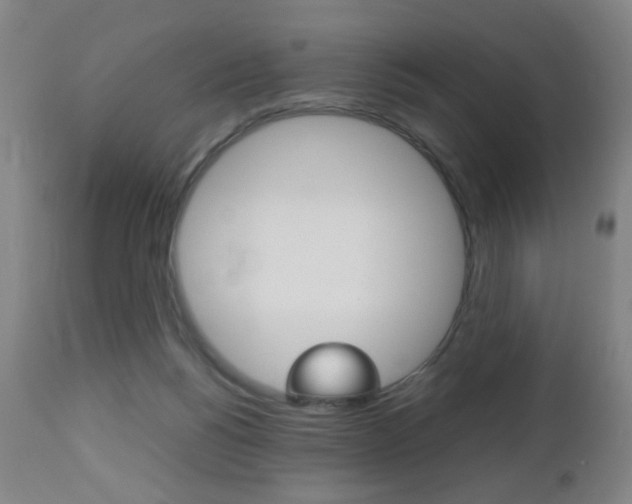 X0000112510168200908171056