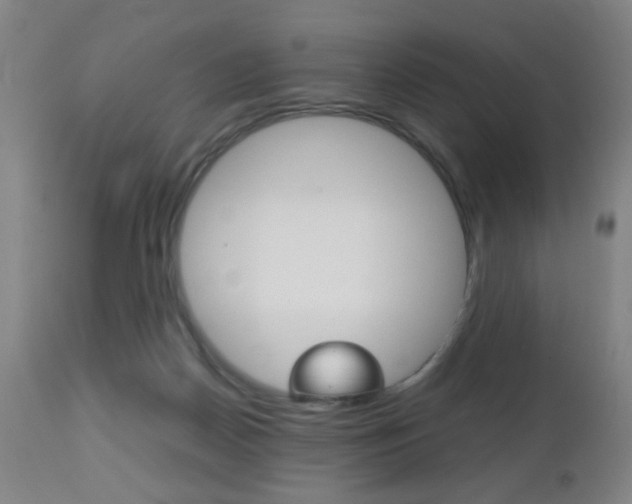 X0000112510170200908171056