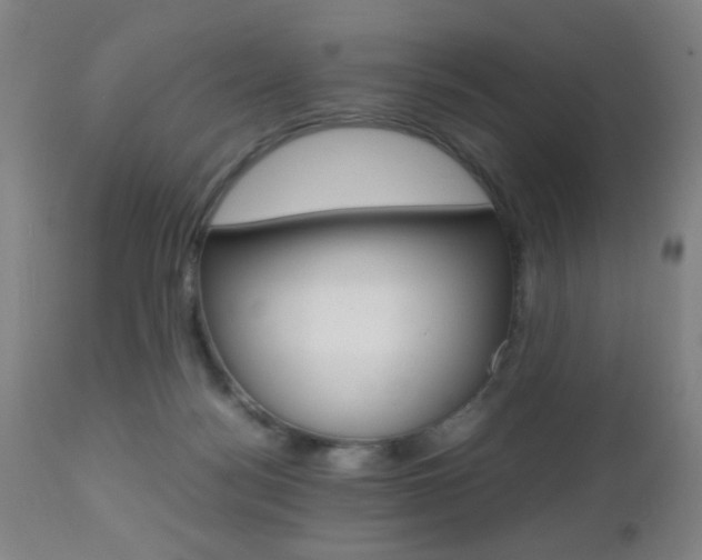 X0000112510172200908171057