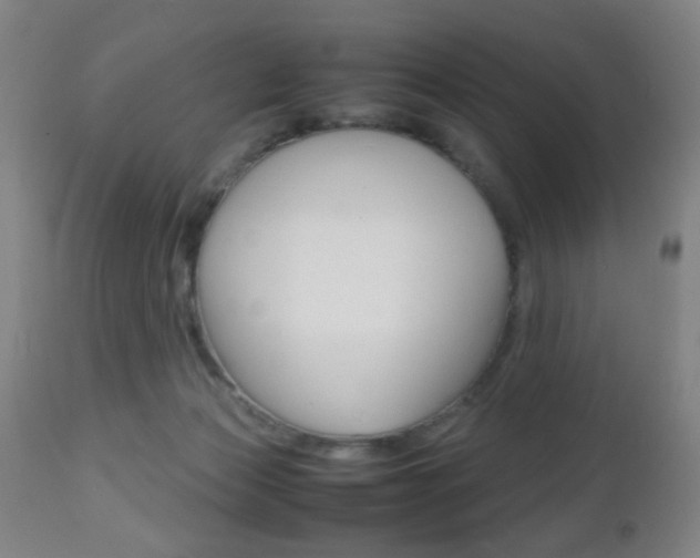X0000112510173200908171057