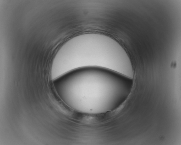 X0000112510174200908171057