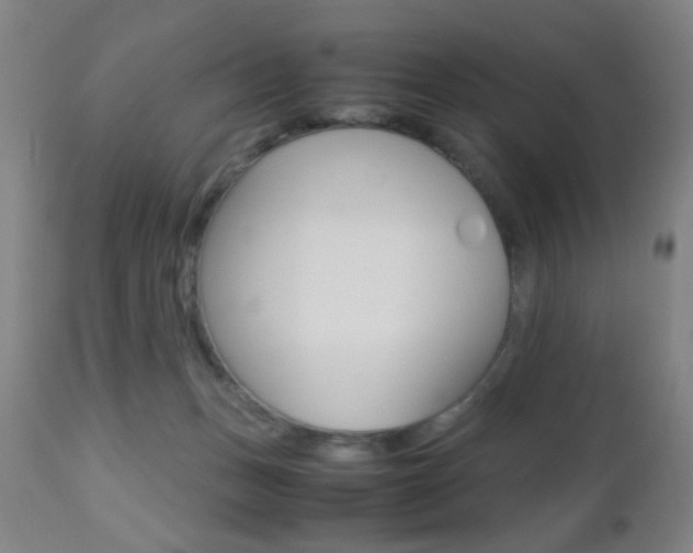 X0000112510175200908171057
