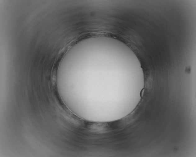 X0000112510179200908171057