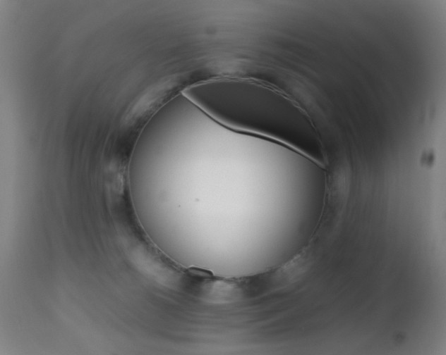 X0000112510180200908171057