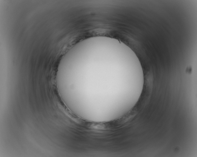 X0000112510181200908171057