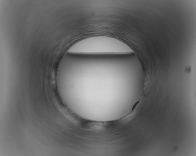 X0000112510182200908171057