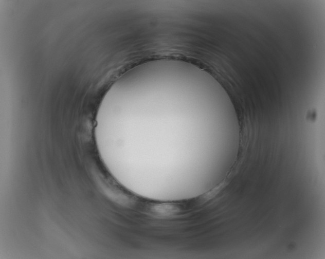 X0000112510183200908171057