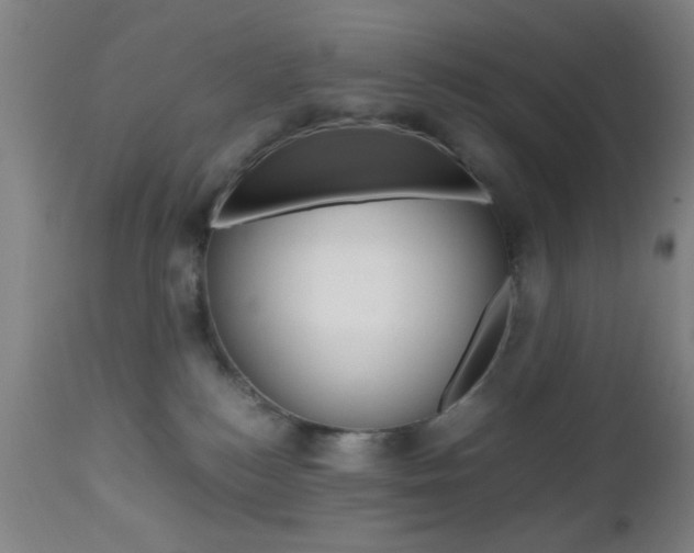 X0000112510184200908171057