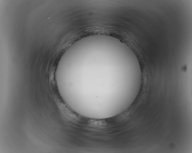 X0000112510185200908171057
