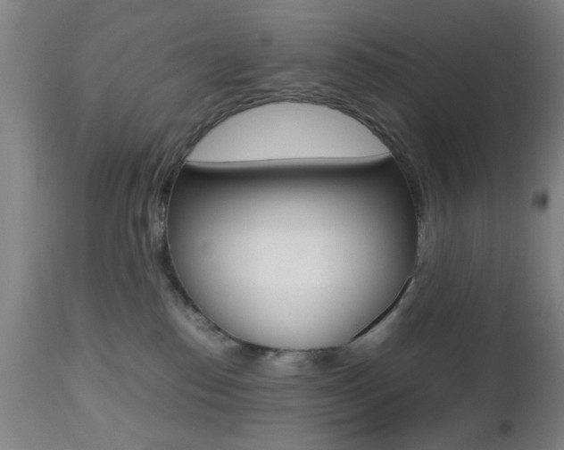 X0000112510186200908171057