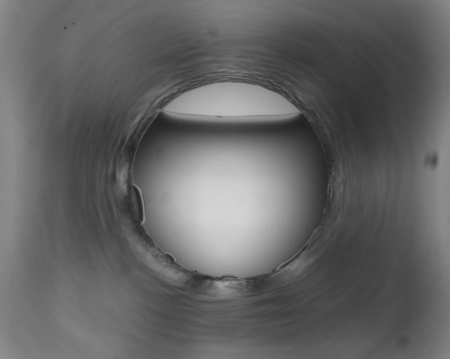 X0000112510188200908171057