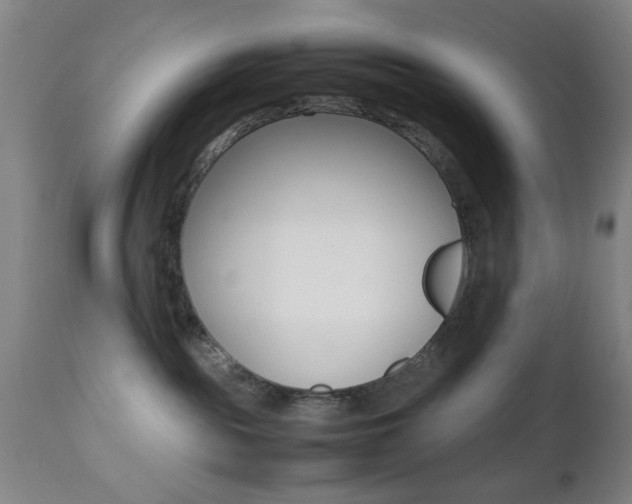 X0000112510189200908171057