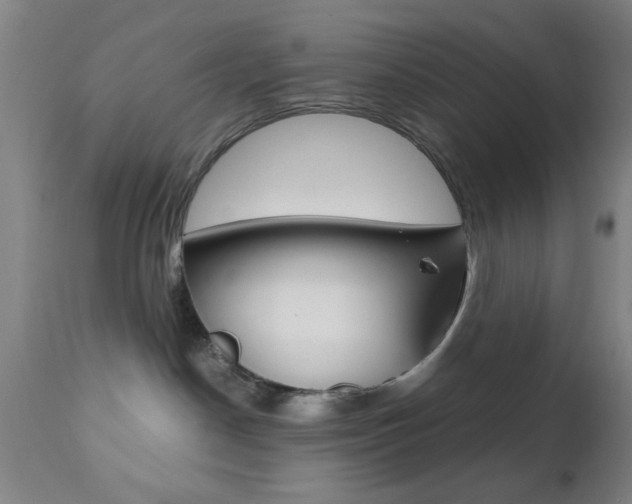 X0000112510190200908171057