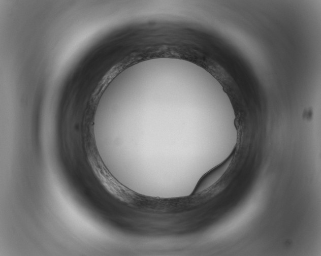 X0000112510191200908171057