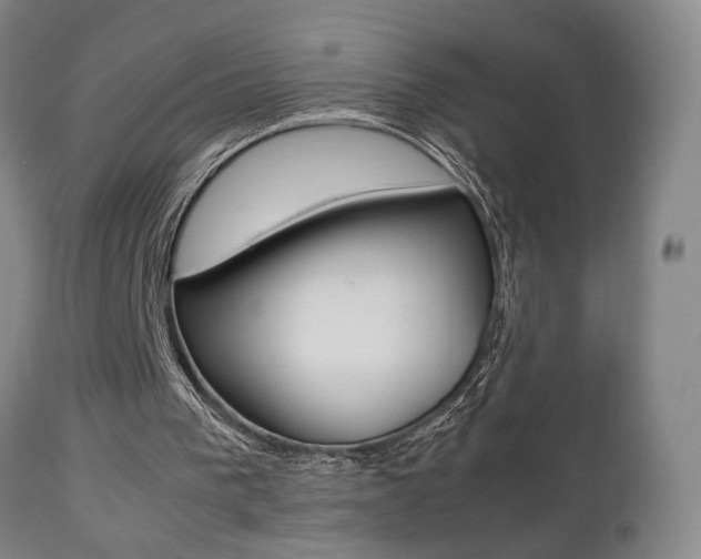 X0000112510193200908171056