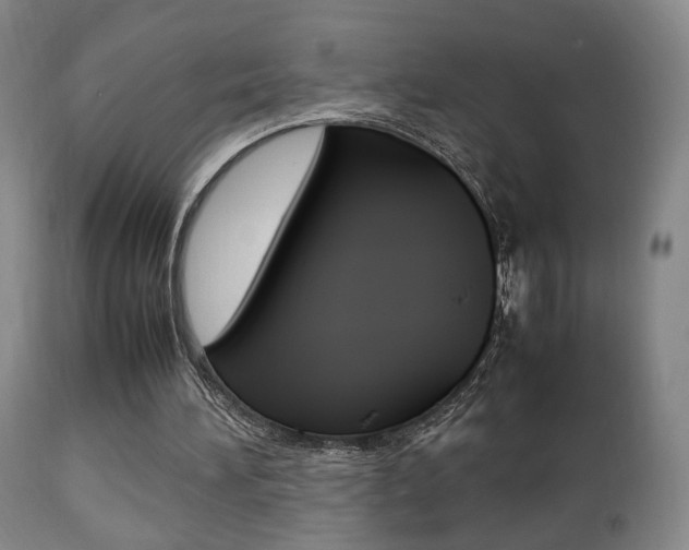 X0000112510196200908171056