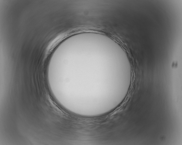 X0000112510197200908171056