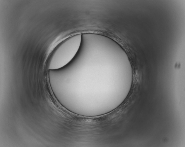 X0000112510198200908171056