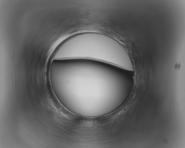 X0000112510200200908171056