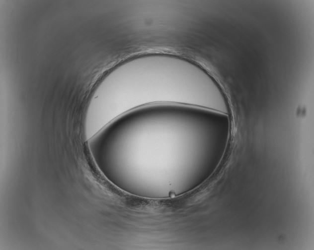 X0000112510201200908171056