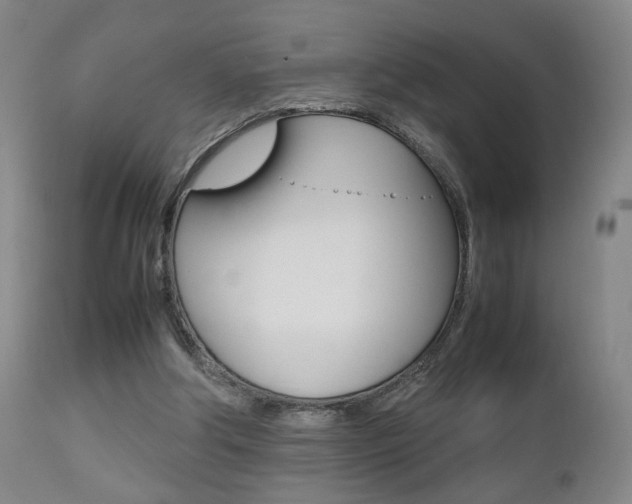 X0000112510202200908171056