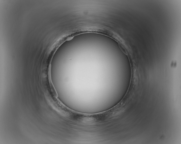 X0000112510203200908171056