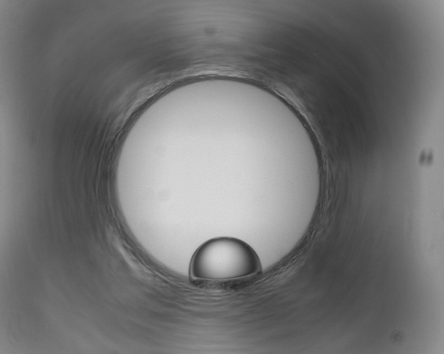 X0000112510205200908171056