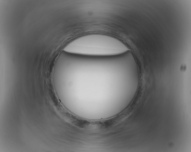 X0000112510209200908171056