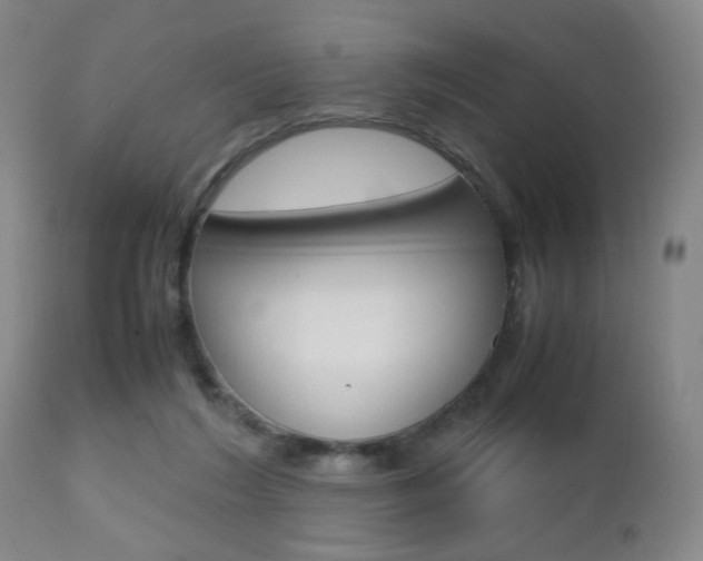 X0000112510212200908171056