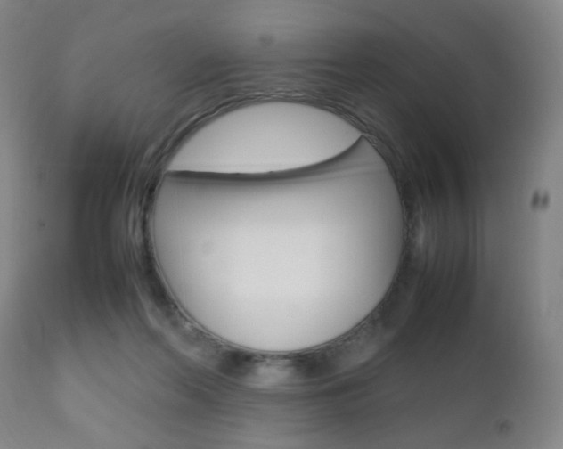 X0000112510214200908171056