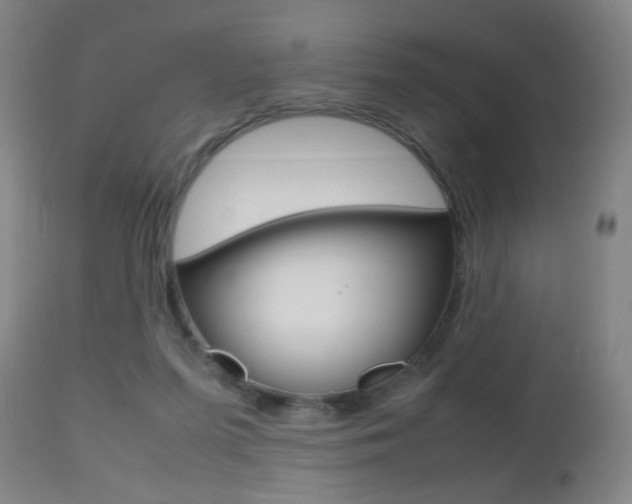 X0000112510215200908171056