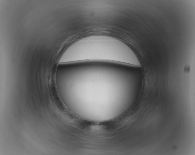 X0000112510216200908171056