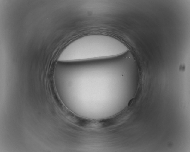 X0000112510217200908171056