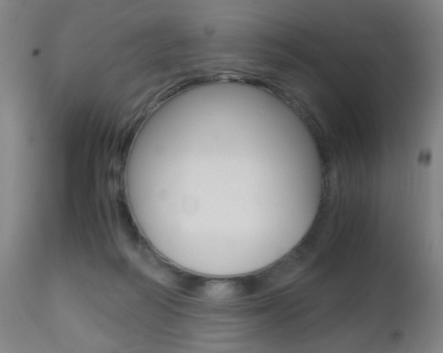 X0000112510218200908171056