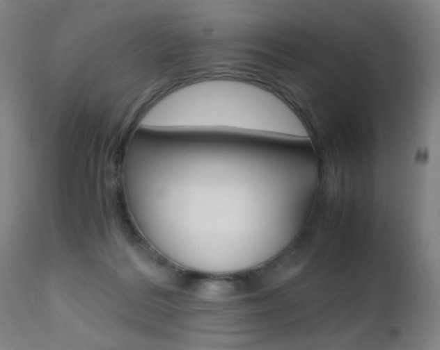 X0000112510220200908171056