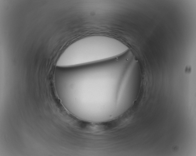 X0000112510221200908171056
