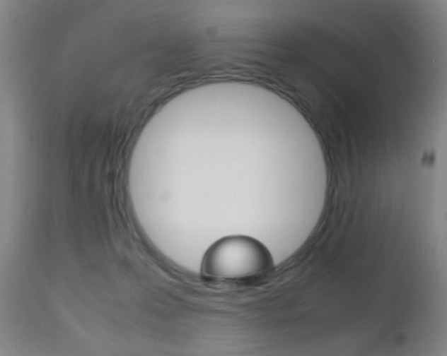 X0000112510223200908171056