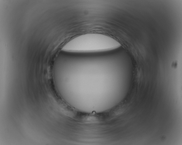X0000112510224200908171056