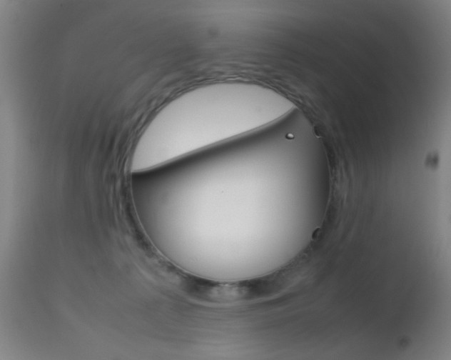 X0000112510225200908171056